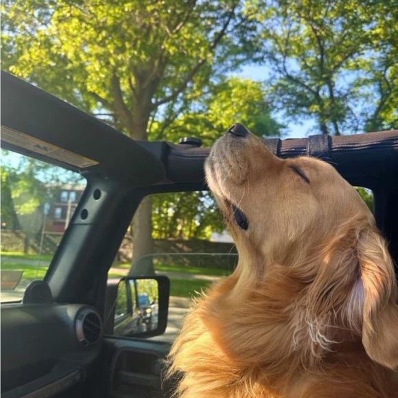 Meet your Posher, Maria - Picture 1 of 1